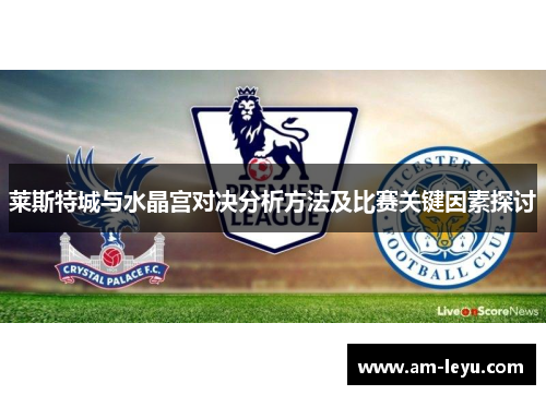 莱斯特城与水晶宫对决分析方法及比赛关键因素探讨 莱斯特城与水晶宫对决分析方法及比赛关键因素探讨