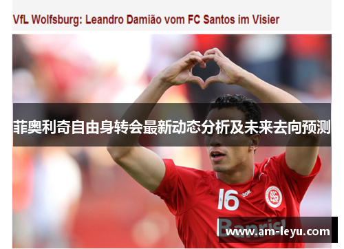 菲奥利奇自由身转会最新动态分析及未来去向预测 菲奥利奇自由身转会最新动态分析及未来去向预测