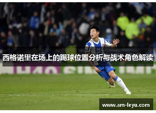 西格诺里在场上的踢球位置分析与战术角色解读 西格诺里在场上的踢球位置分析与战术角色解读