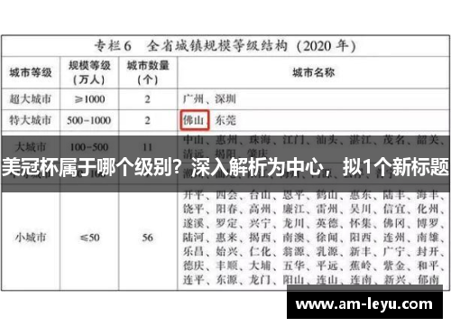 美冠杯属于哪个级别？深入解析为中心，拟1个新标题