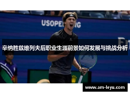 辛纳胜兹维列夫后职业生涯前景如何发展与挑战分析