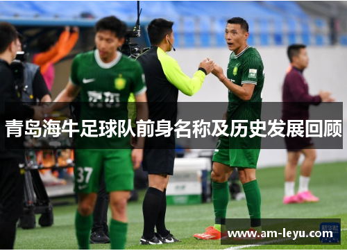 青岛海牛足球队前身名称及历史发展回顾