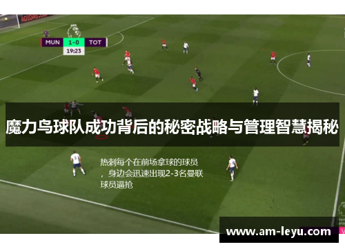 魔力鸟球队成功背后的秘密战略与管理智慧揭秘