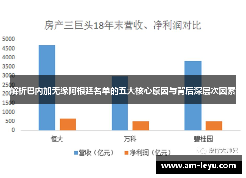 解析巴内加无缘阿根廷名单的五大核心原因与背后深层次因素
