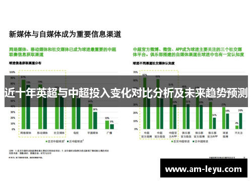 近十年英超与中超投入变化对比分析及未来趋势预测