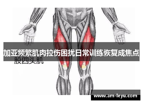 加亚频繁肌肉拉伤困扰日常训练恢复成焦点