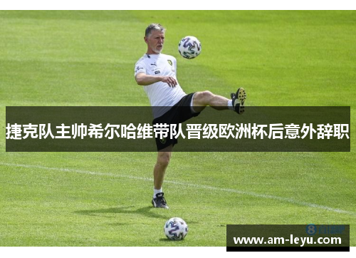 捷克队主帅希尔哈维带队晋级欧洲杯后意外辞职 捷克队主帅希尔哈维带队晋级欧洲杯后意外辞职