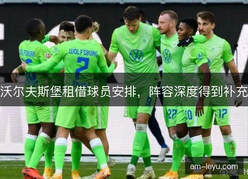 沃尔夫斯堡租借球员安排，阵容深度得到补充
